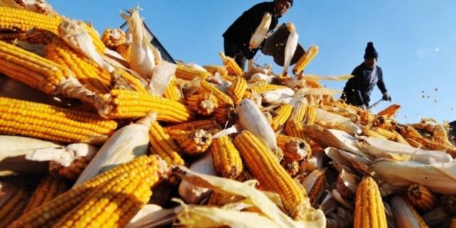 لا يمكننا المتابعة في نموذج فاشل